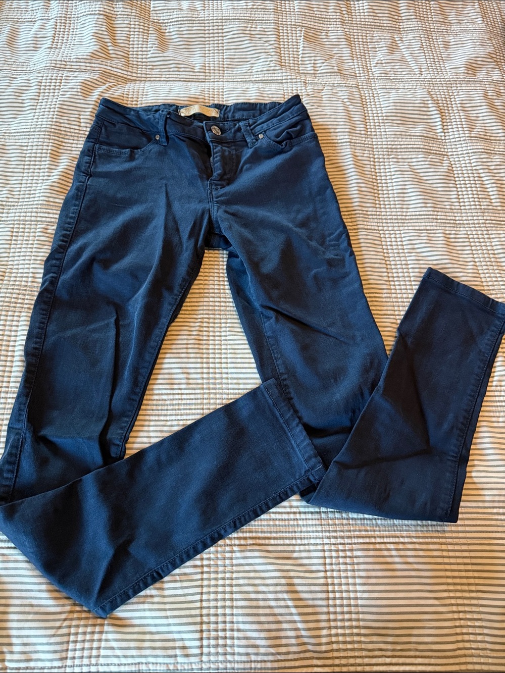 Zara Skinny Pants in Navy Blue
